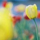 우리 동네 이미지