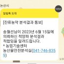 저장용 자색양파 판매해요. 이미지