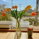 판문동8 이미지