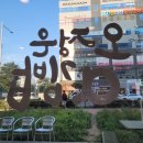 오정은김밥명지국제