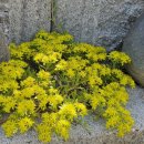 광일공인중개사사무소 이미지