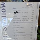 퍼플스왈로우