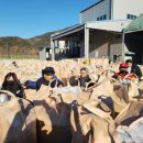 함양농협미곡종합처리장 이미지