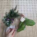 조치원_세종특별자치시교육청교육원입구 | 세종•대전•청주•오송] 충북노동자종합복지관 크리스마스리스만들기 단체출강