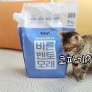 윤쌤동물병원 이미지