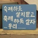 그린어스코리아(유) | ➃ 블챌을 위해 쓰는 2025 마지막 일상