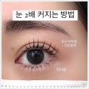 8 | 맑음뷰티 재방문 후기 평택 속눈썹펌 8년차 장인의 손길