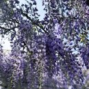 냉천목장 이미지