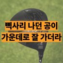 스피드카피 | 코브라 DS-ADAPT MAX 드라이버 솔직 후기 공이 가운데로 가더라