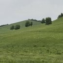 내몽골 울란부통 초원을 보러가다.(18)....이 번 여행의 목적이었던 울란부통 초원(2)..가을도 아름 다울 듯 이미지