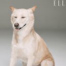 더하기슈퍼 네이버블로그