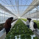 스마트팜 이미지