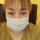 다올여행사주