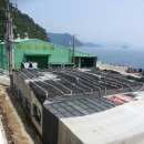 (주)성보수산
