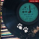 서울크럽 이미지