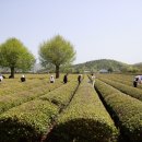 (주)보성 이미지