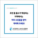 대구광역시 상수도사업본부 시설관리소 네이버블로그