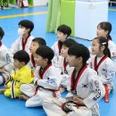 경희대신나무태권도장