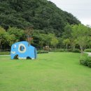 화명대천천 이미지