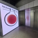 NUDAKE(누데이크 성수) | 성수 누데이크 티 하우스 카페 방문후기, 메뉴 종류 가격, 영업시간 주차정보