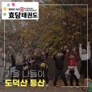 JMC 태권도 이미지