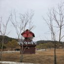 개나리목장 이미지