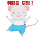 💞💞 5월 10일 쥐띠벙이 있는날!! 불금 출석부~~~^^ 이미지