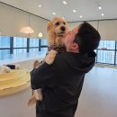 차린 | [공지] 30대 남자 창업, 엔지니어 그만두고 애견유치원 차린 후기