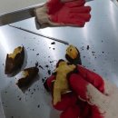 학선정펜션 이미지