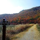 고창 선운산 종주 (11/2) 이미지