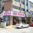 곽장어