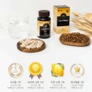 맥(MAC)미용실 | 숱짱 판맥오틴 맥주효모 분석: 비오틴 판토텐산 황금배합이 탈모 관리에 미치는 영향 (함량, 부작용...