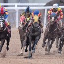 말머리공원 이미지