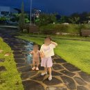 라라다온 | 명지 다온나루 카페 솔직 후기 브런치부터 디저트까지 완벽한 카페