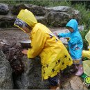 큰숲교육영어수학