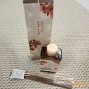 디자인미헤어 - 아산시 | 실내디퓨저 쿤달 퍼퓸 디퓨저 창경궁 에디션 동백꽃 필 무렵 겨울 실내방향제 강력추천