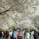 서울 근교 꽃놀이 장소 탐방 이미지