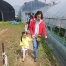 도희네 농장 이미지