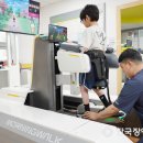 엔젤밤비니