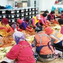 옹진사랑 이미지