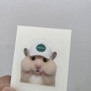 샐러디 조선대점 이미지