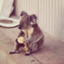 고강도 다이어트짐 인천논현점PT 이미지