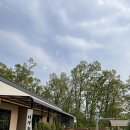 미꾸지 펜션 | ▫️친정 가족 여행▫️ : 가족여행으로 좋은 가성비 갑 강화도 신상 펜션 🦥나무늘보🦥 | 숙소 대추천🤍