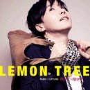 레몬트리 이미지