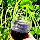 지리산벌꿀 찐아카시아꿀 , 인생밤꿀 , 최고급 프리미엄 완숙꿀 ＜카드결제가능＞ 이미지