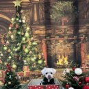 멍스 스쿨 이미지