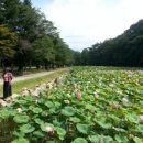 속리산계곡펜션 이미지