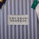 자두미미하우스 | 5월