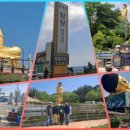 GR(울진군)-[기성로]-하-24 | 처 형제들과 영덕 둘째날에는 불영사와 월송정 관광을 하였습니다