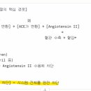 RR-1036[반룡길]-상-1 | 앨나일람 파마슈티컬스(ALNY)검토 - RNAi 1위의 진짜 실력과 주가 하락의 본질